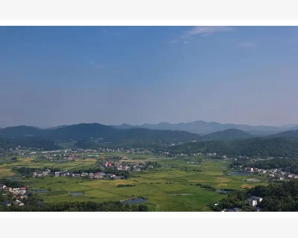 MT4查看交易所深度市场数据的可行性分析