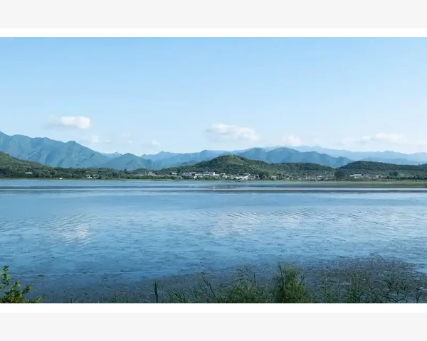 MT4电脑版滚动失灵翻页拖拽卡顿那些恼人事_先从鼠标滚轮说起吧