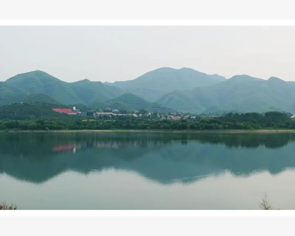 MT4模拟账户与实盘服务器地址不一致的登录对策