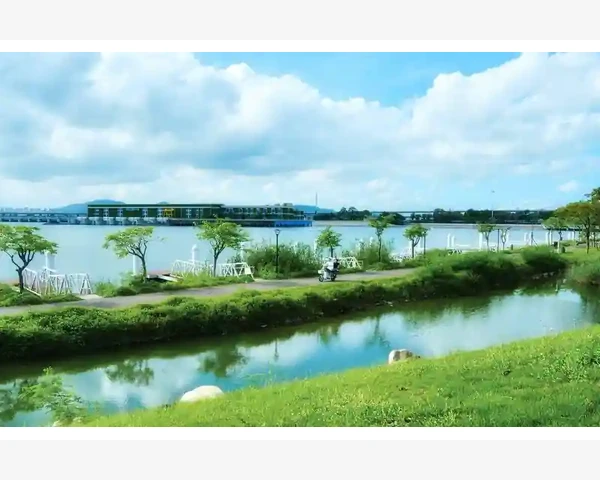 MT4连接中断频发背后原因与实用应对方法_HTML格式报告保存与浏览器查看技巧